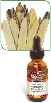 Astragalus Root Liquid Extract